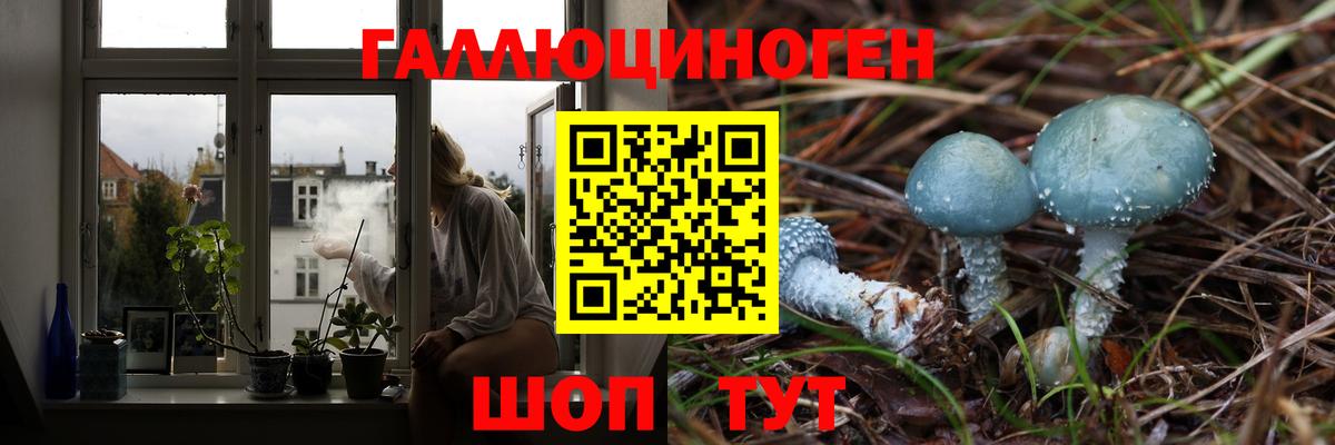 Гай  Галлюциногенные грибы GOLDEN TEACHER  Вход с VPN 