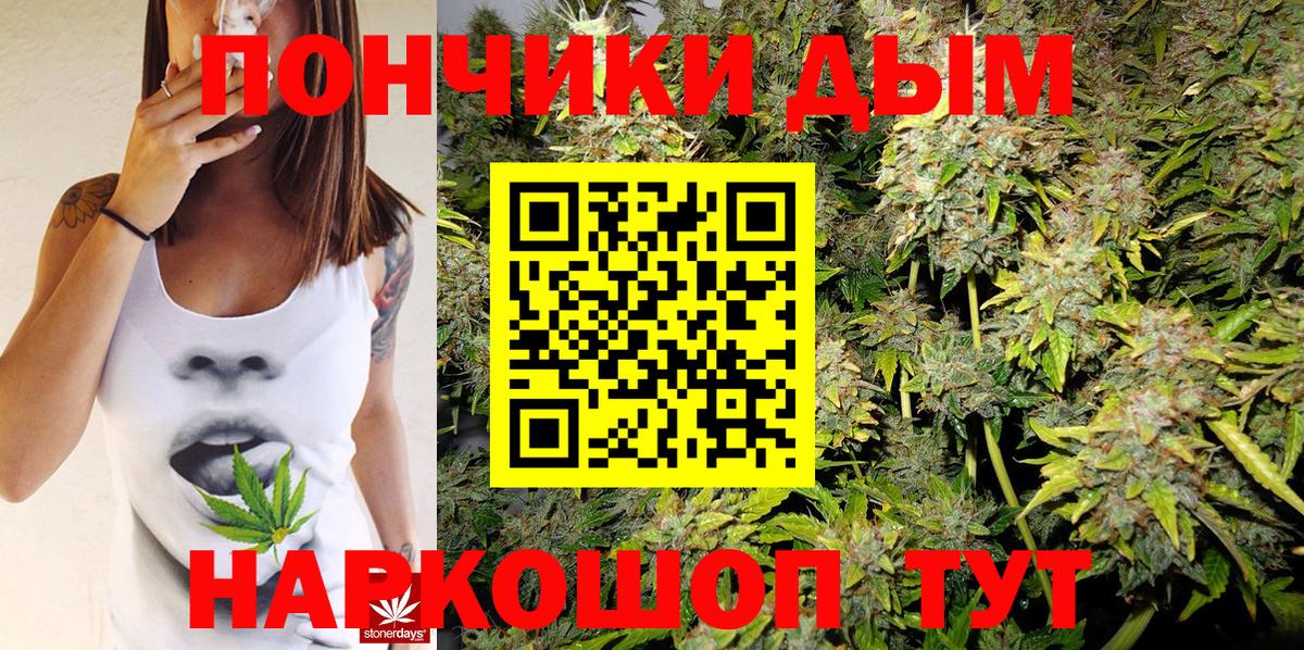 Гай  Канабис OG Kush  Бошки марихуана Amnesia  Вход с VPN 